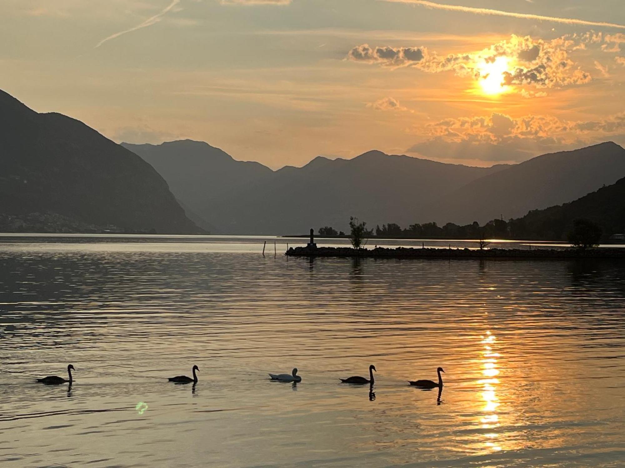 Lake View Terrace Паратико Екстериор снимка